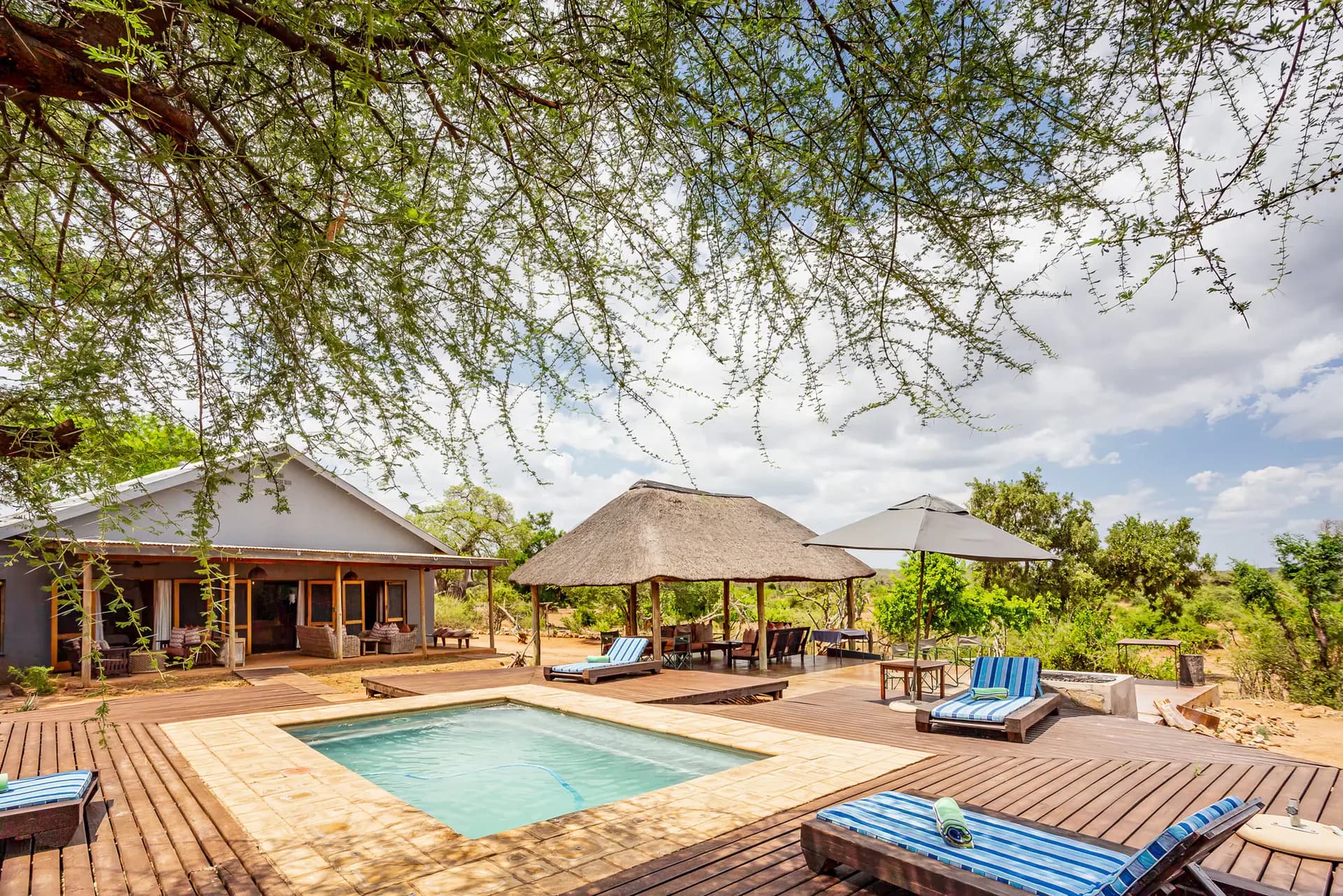 Swimming pool and sun deck beside a bush house, Baobab Hill House