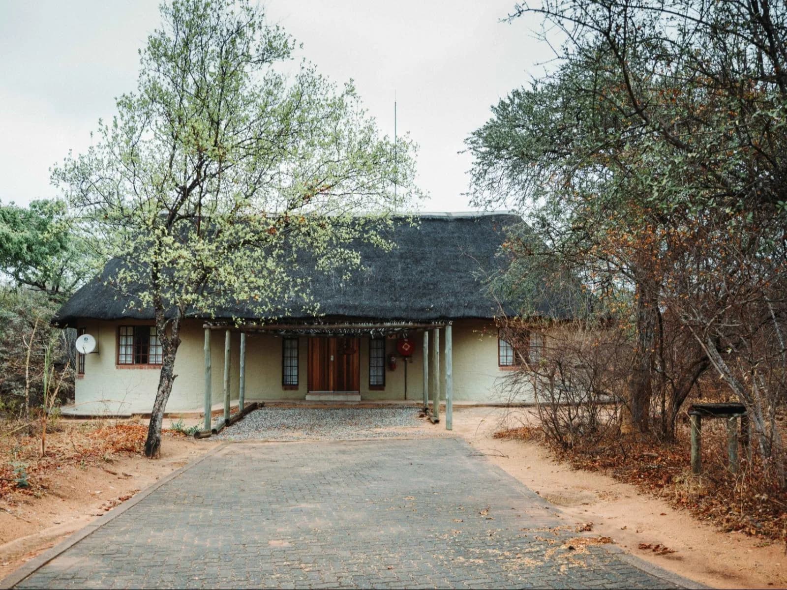 Thatched lodge building beneath trees, Awelani Eco Tourism Lodge